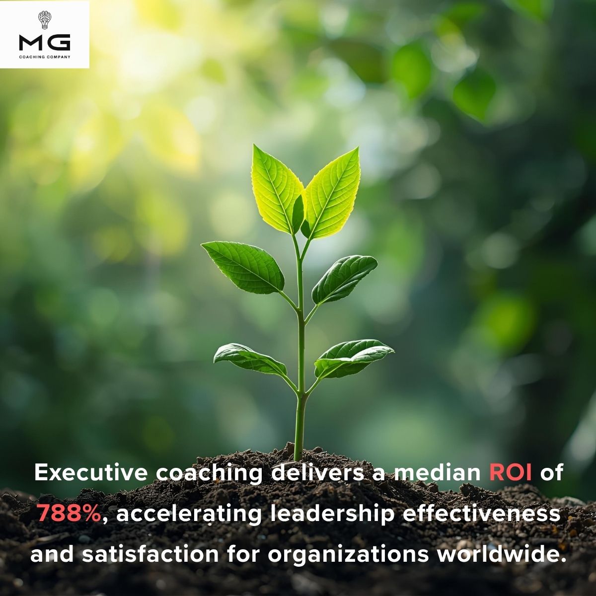 Executive Coaching ROI